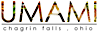 Umami logo