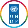 Undp logo