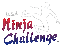 USA Ninja Challenge logo