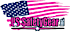 U.S. SafetyGear logo