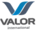 Valor International logo