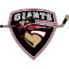 Vancouver Giants Hockey Club logo