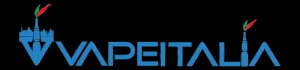 VISION logo