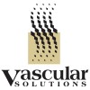 Vascular Solutions logo