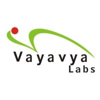 Vayavya Labs logo