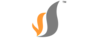 Vertical Streaming logo