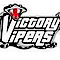 Victory Sports logo