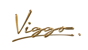 SC VIGGO RETAIL logo