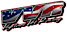 Vigilant Vet Racing logo