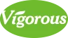 Changsha Vigorous-tech logo