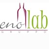 Enolab logo