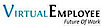 Virtual Employee logo