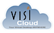 Visi networks logo