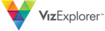 VizExplorer logo