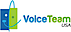 Voice Team USA logo