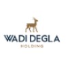 Wadi Degla Holding logo