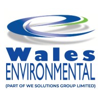 W.E Solutions Group logo