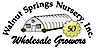 Walnut Springs Nursery logo