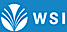 Washing Systems logo