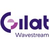 Wavestream logo