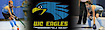 WC Eagles logo