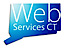 Web Services Ct logo