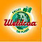 Weldcoa logo