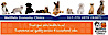 WellPets Economy Clinics logo