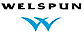 Welspun Energy logo