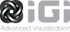 Immersion Graphics logo