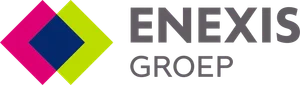 Enexis Groep logo