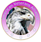 American Veterans Alliance logo