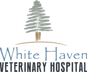White Haven Veterinary Hospital logo