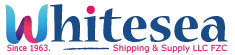WSS Shipping and Supply & FZC logo