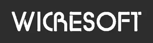 Wicresoft International logo