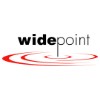 Widepoint logo