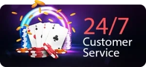 SUSU4D logo