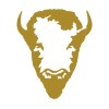 Wild Idea Buffalo logo