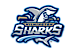 Wilmington Sharks Baseball logo