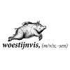 Woestijnvis logo