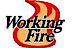 Working Fire Training Systems logo