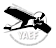 The Youth Aeronautics Educational Foundation logo