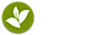 Zeefoods logo