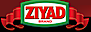 Ziyad Brothers Importing logo